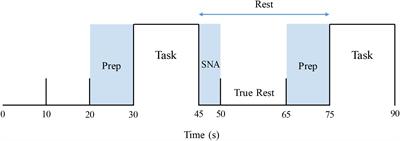 Comparison of Cortical Autonomic Network-Linked Sympathetic Excitation by Mueller Maneuvers and Breath-Holds in Subjects With and Without Obstructive Sleep Apnea